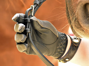 Anni Lyn Sportswear Women's Passage Riding Glove