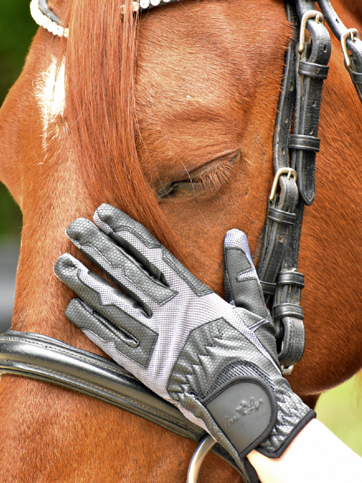 Anni Lyn Sportswear Women's Passage Riding Glove